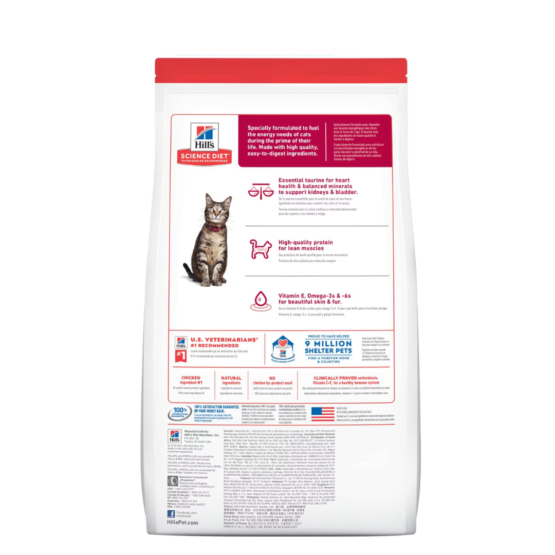 Adult 1 - 6 Chicken Recipe cat food