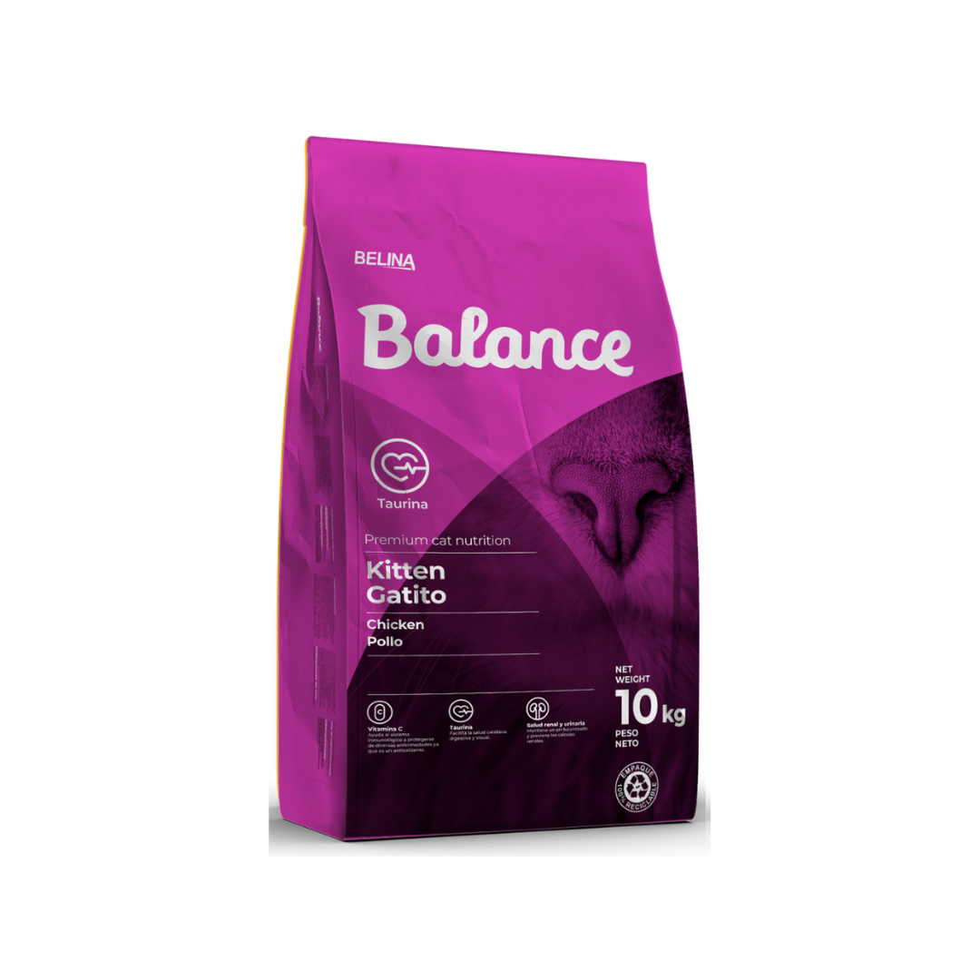 Balance kitten - gato cachorro