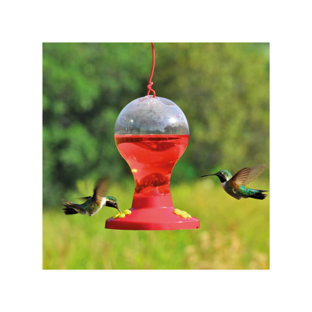 Comedero Bulbo para Colibrí Perky Pet 473 ml