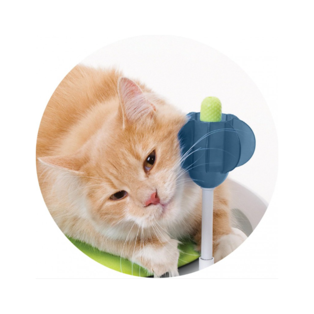 Juego Zona de Confort Catit