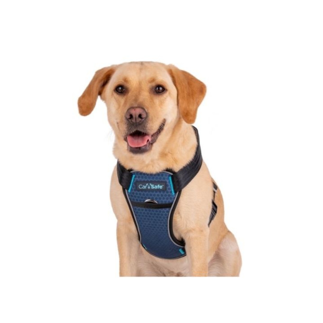 Arnes - CarSafe Crash Dog Harness