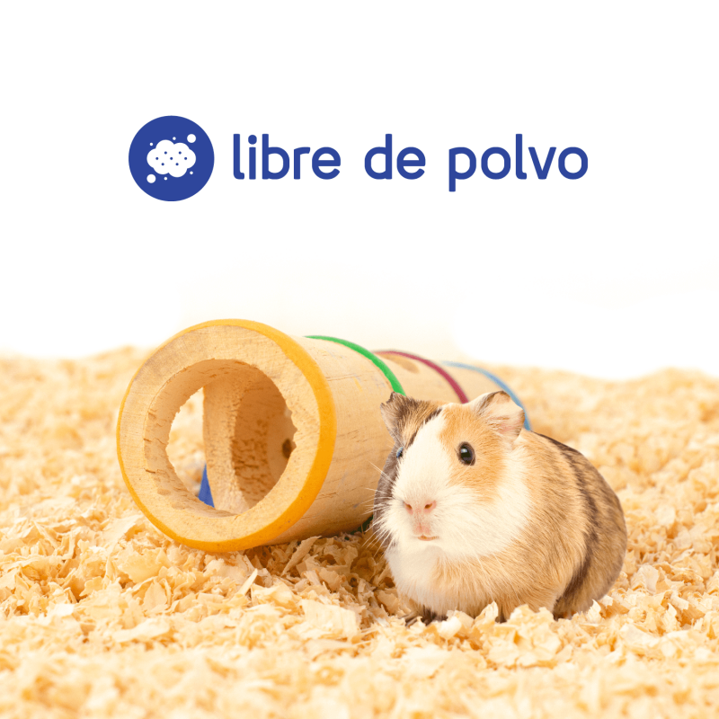 Hola Pets – Burucha de Pino Natural Pack de 24 × 1 kg