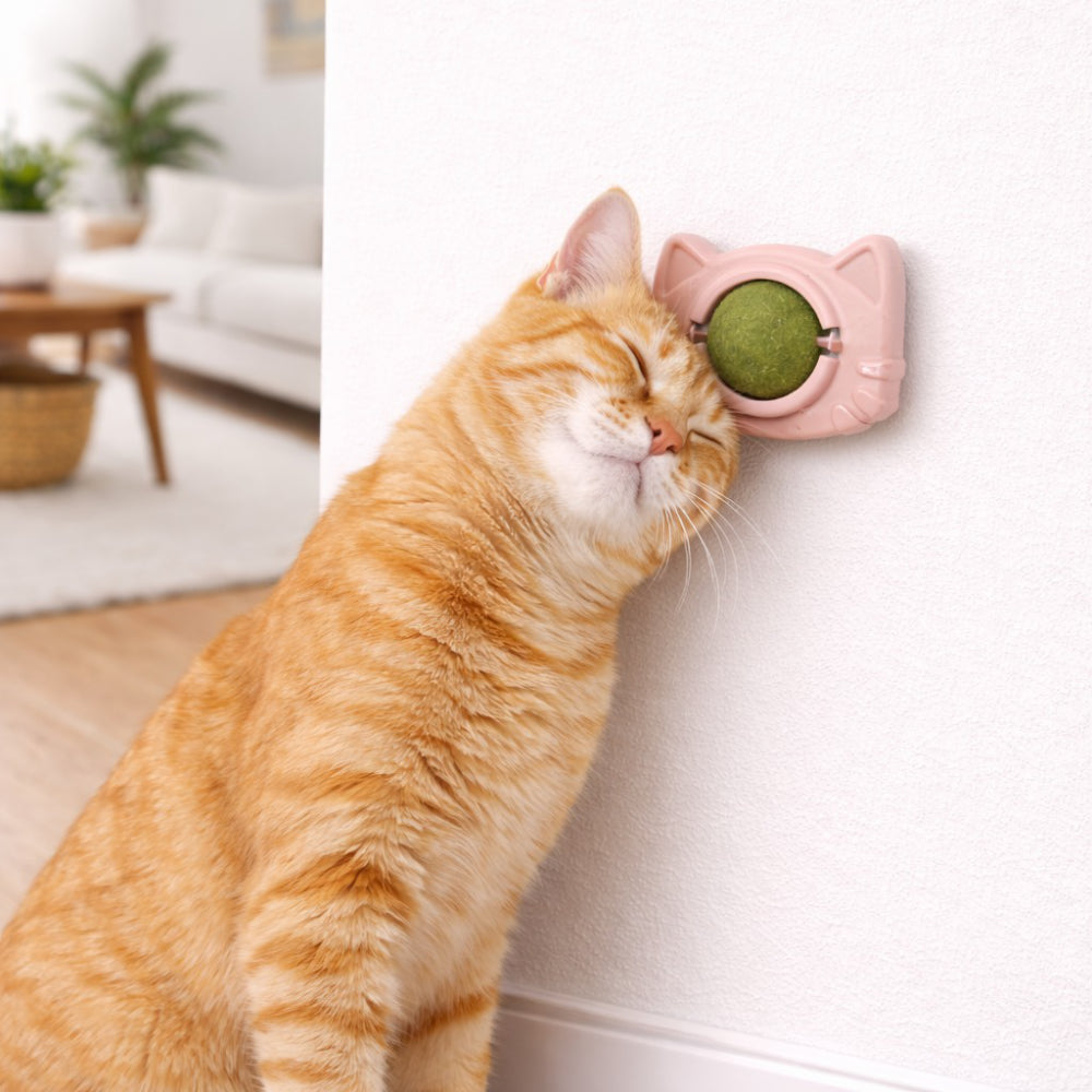 Cara de Gato con Bola de Catnip Giratoria Adhesiva