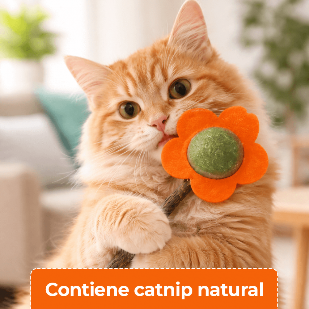 Flor con Catnip y Vara de Madera para Gato