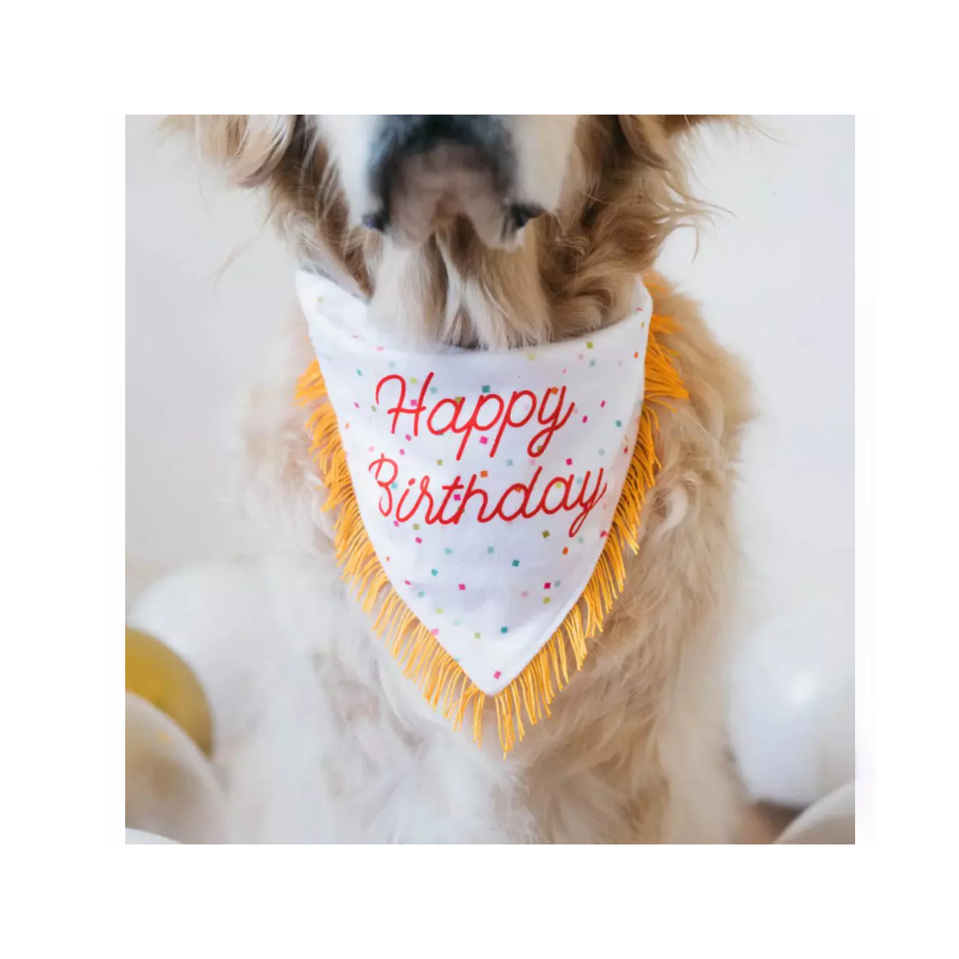 Juguete Birthday Bandana and Bone 2-Pack - Zippy Paws