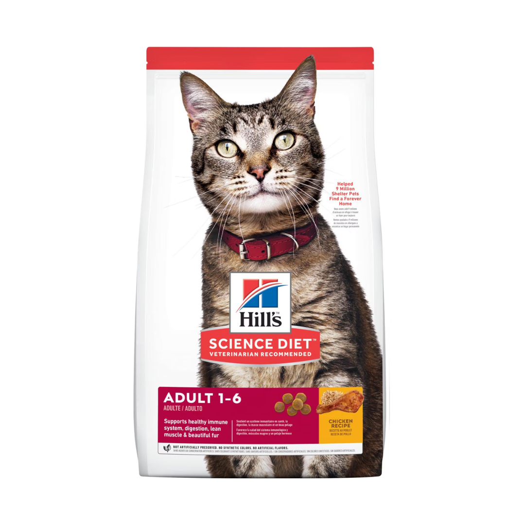 Adult 1 - 6 Chicken Recipe cat food