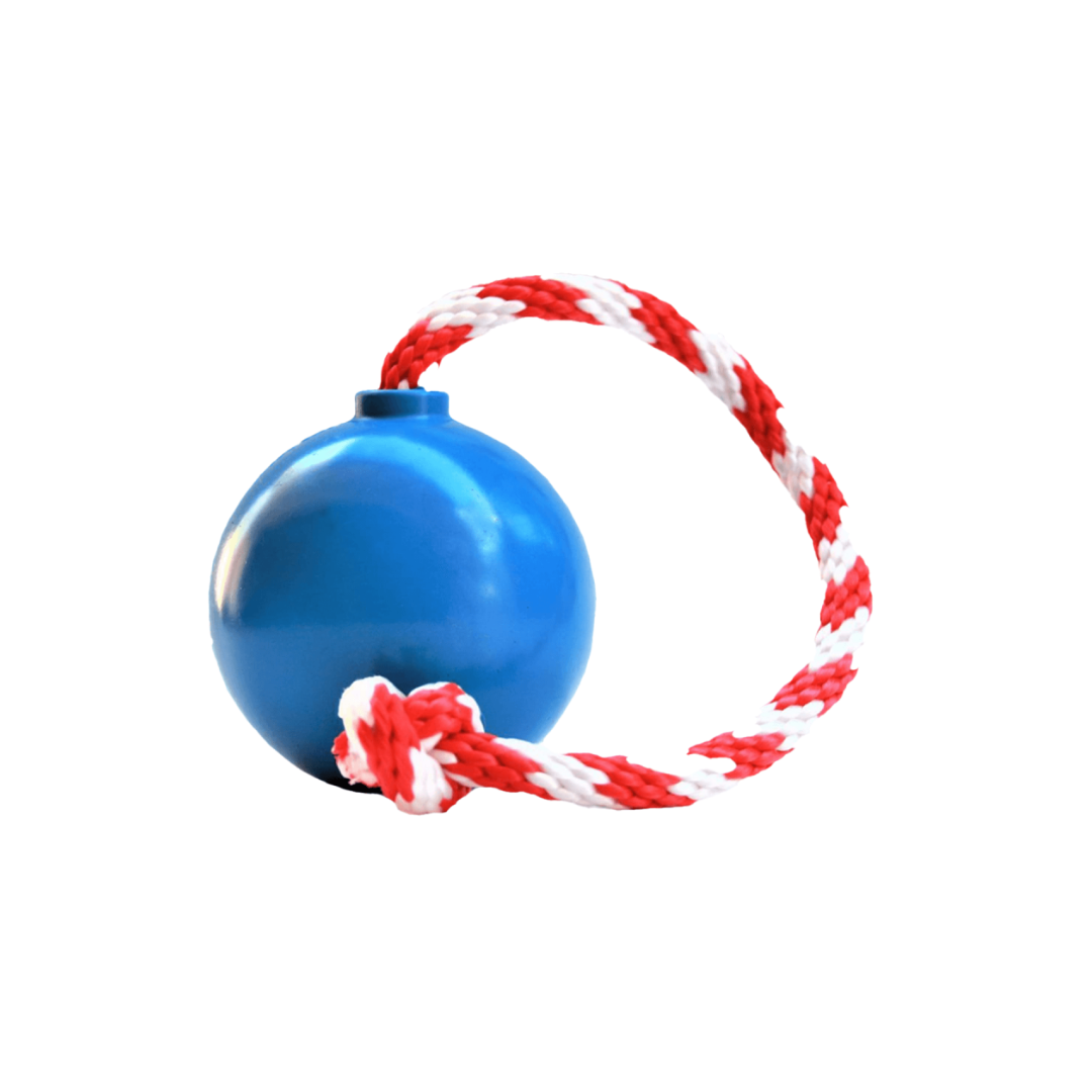 Bola diseño Bomba de Hule