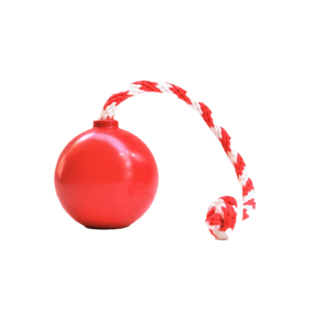 Bola diseño Bomba de Hule