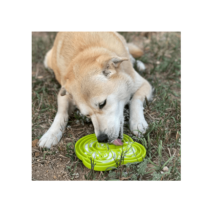 Licking Mat - Rana Verde
