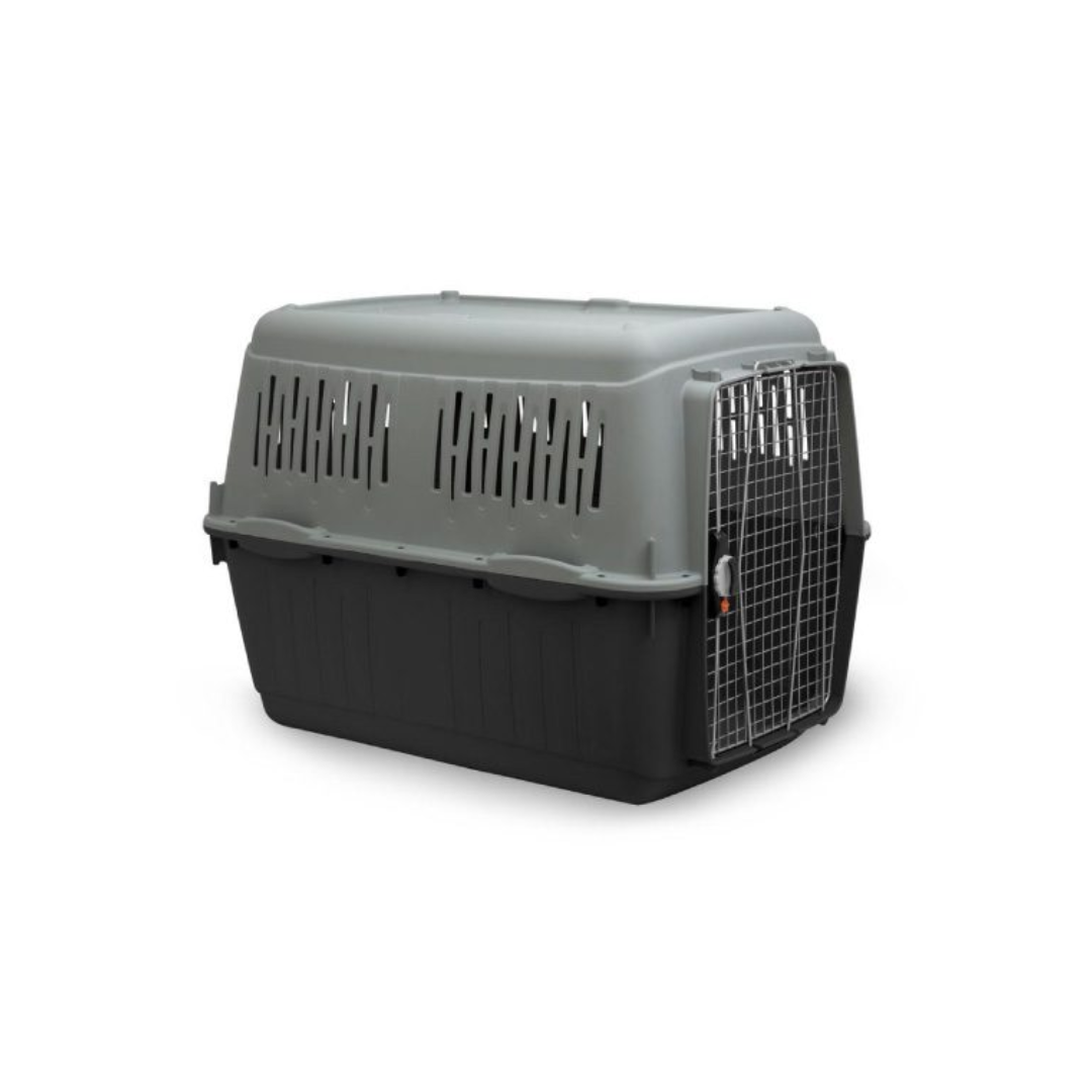 Zoonee – Transportadoras Bracco