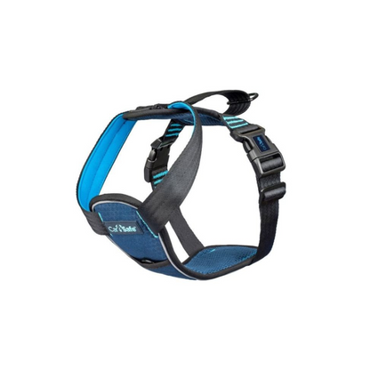 Arnes - CarSafe Crash Dog Harness