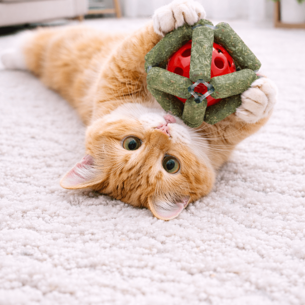 Bola Interactiva de Catnip con Campanita