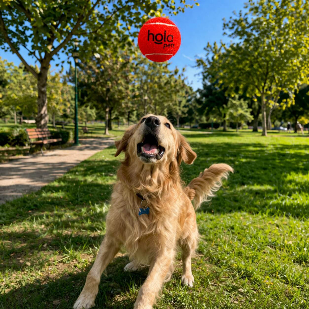 Hola Pets – Pelotas Tipo Tenis para Perro 12 Unidades