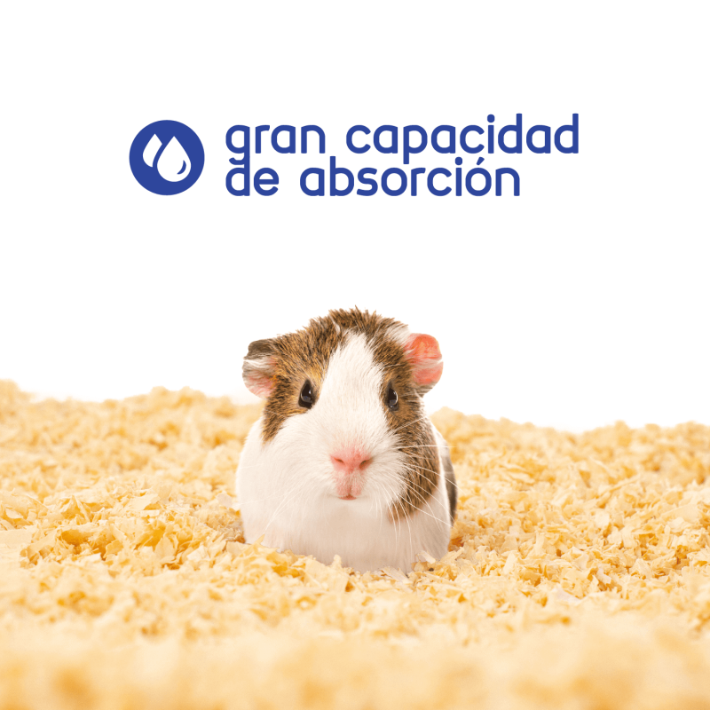 Hola Pets – Burucha de Pino Natural Pack de 24 × 1 kg