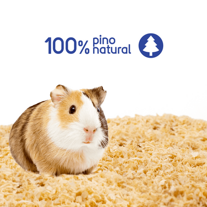 Hola Pets – Burucha de Pino Natural Pack de 24 × 1 kg
