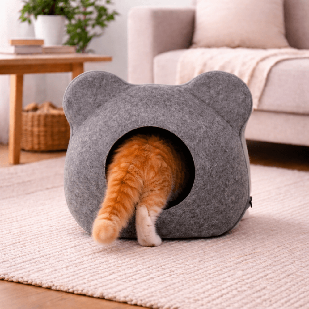 Casa Cueva para Gato – Cara de Ratón