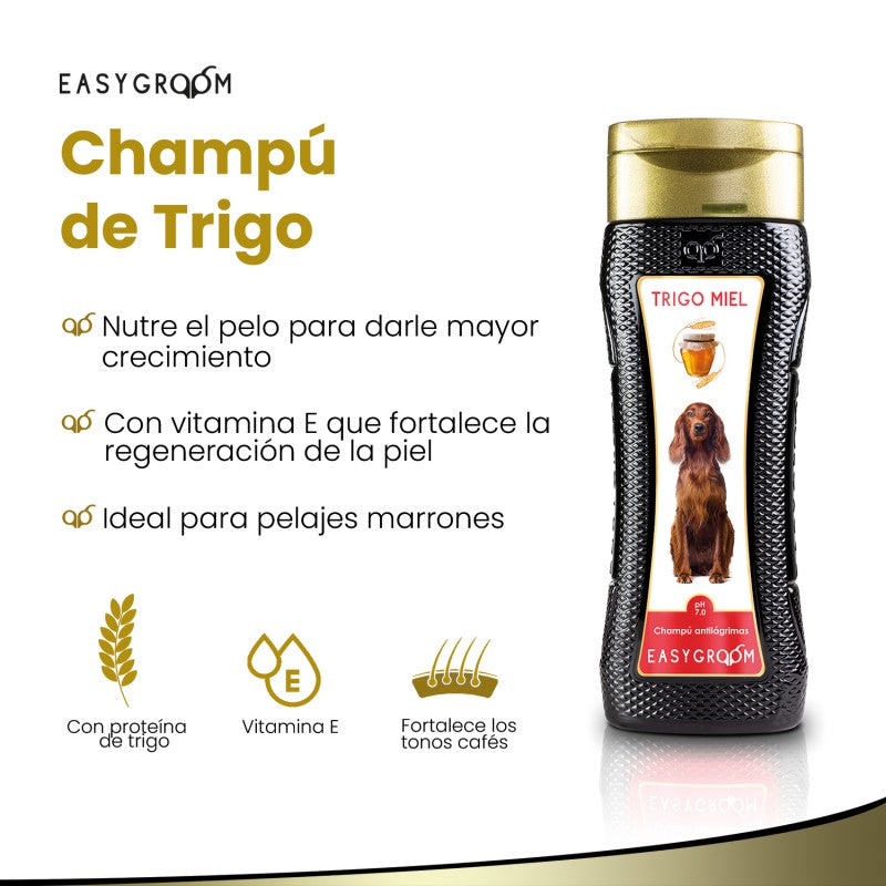 Easygroom – Champú de Germen de Trigo y Miel