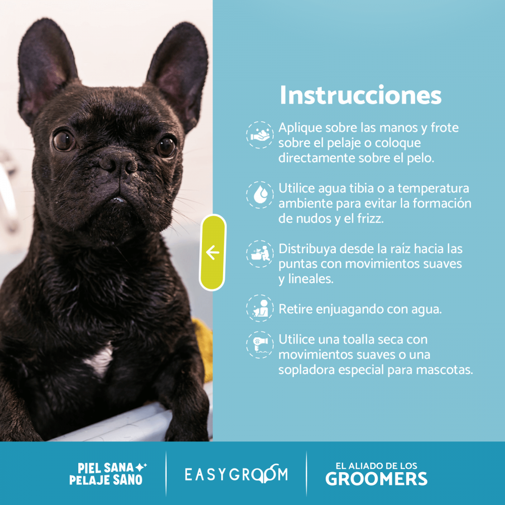 Easygroom – Champú de Salvia Galón