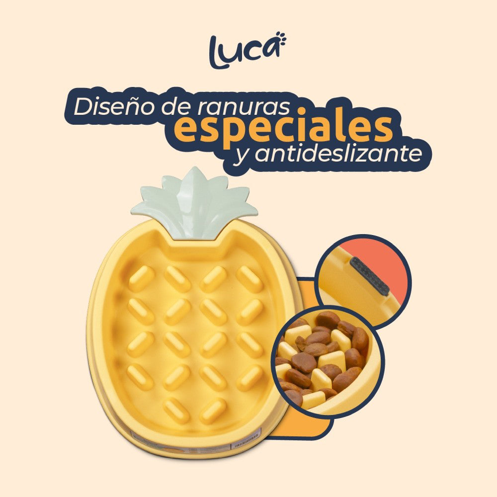 Luca – Comedero Lento Piña