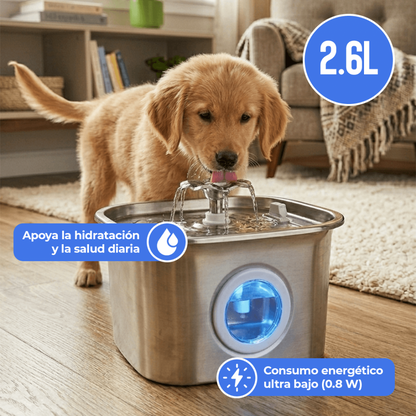 Fuente de Agua 2,6 L de Acero Inoxidable 304 con Luz LED