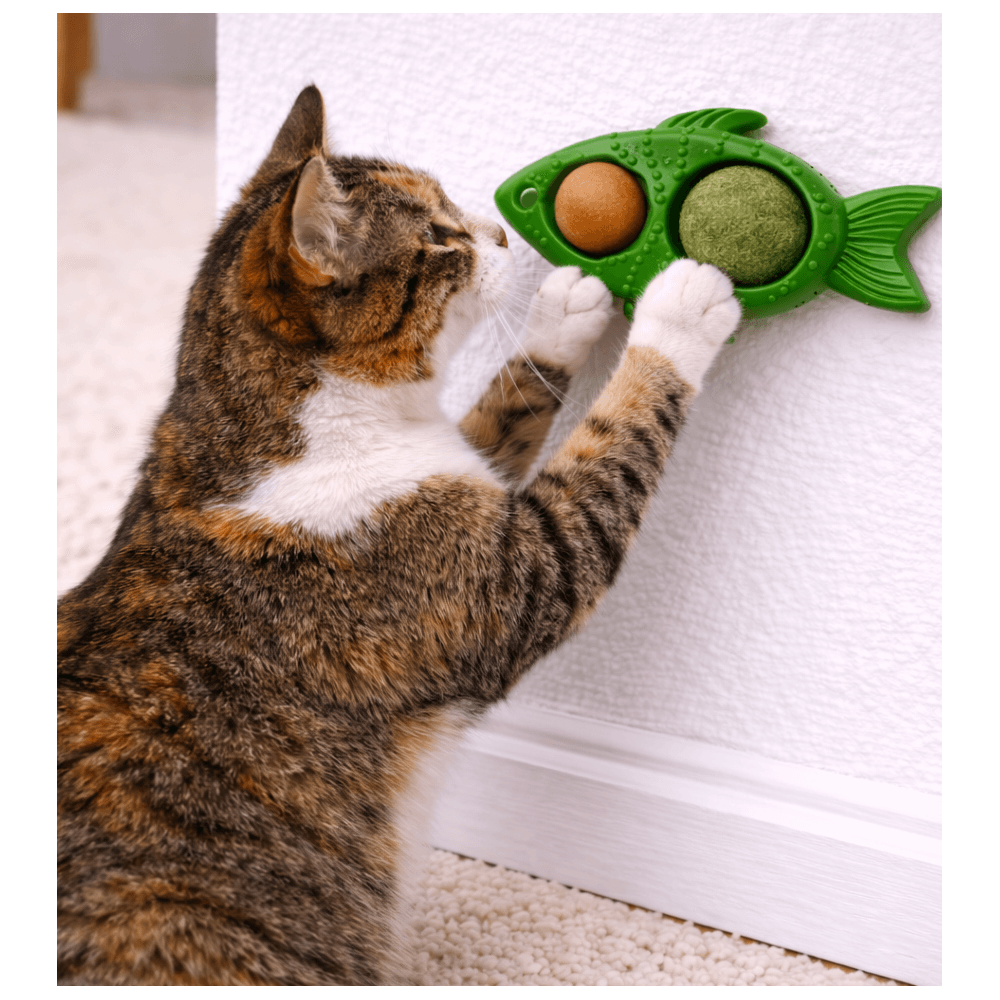 Pez con Catnip y Snack para Lamer