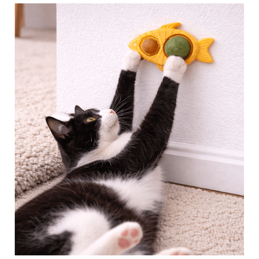 Pez con Catnip y Snack para Lamer