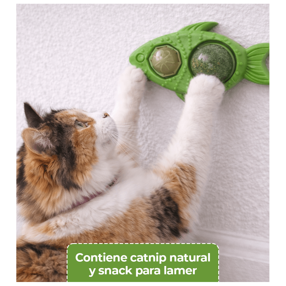 Pez con Catnip y Snack para Lamer