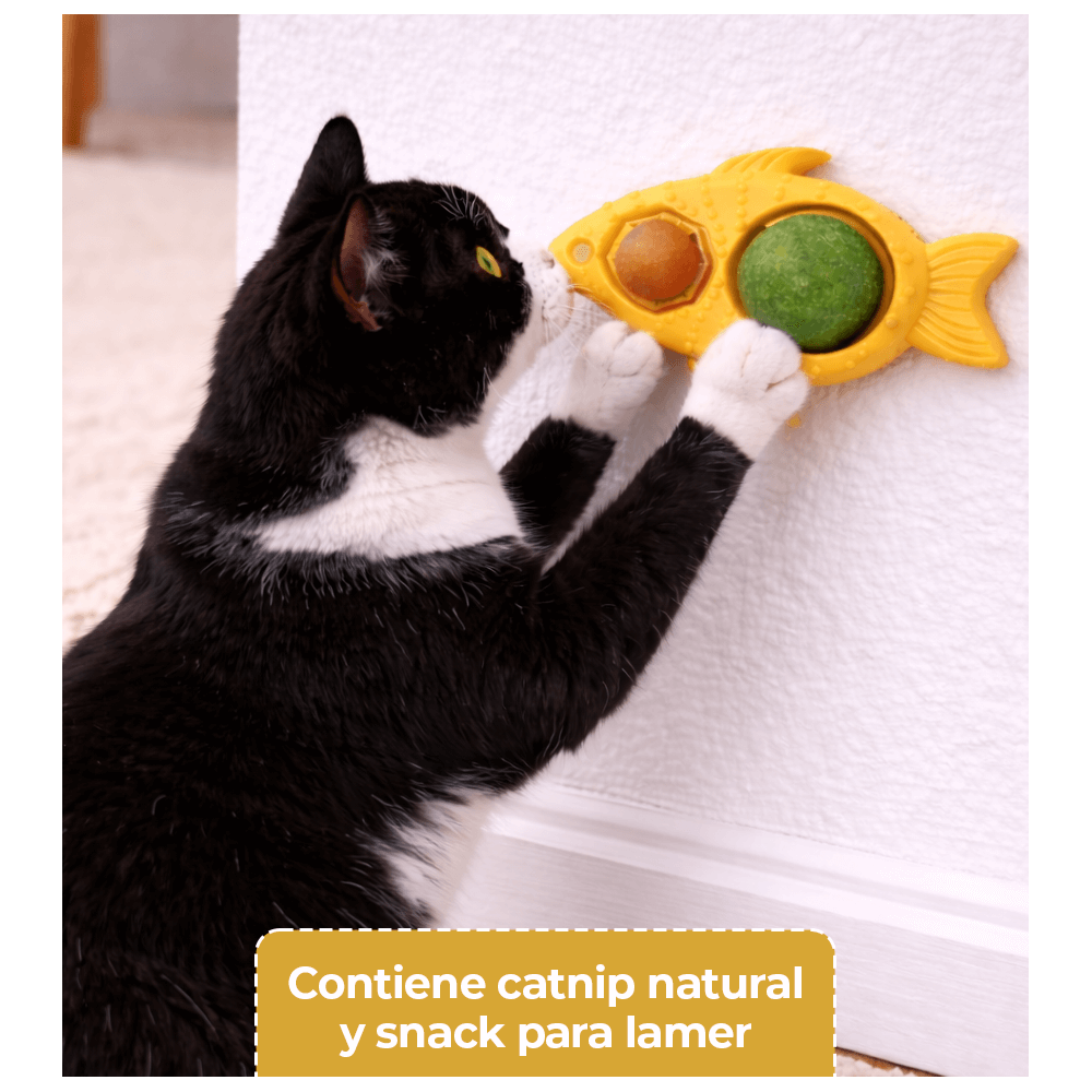 Pez con Catnip y Snack para Lamer