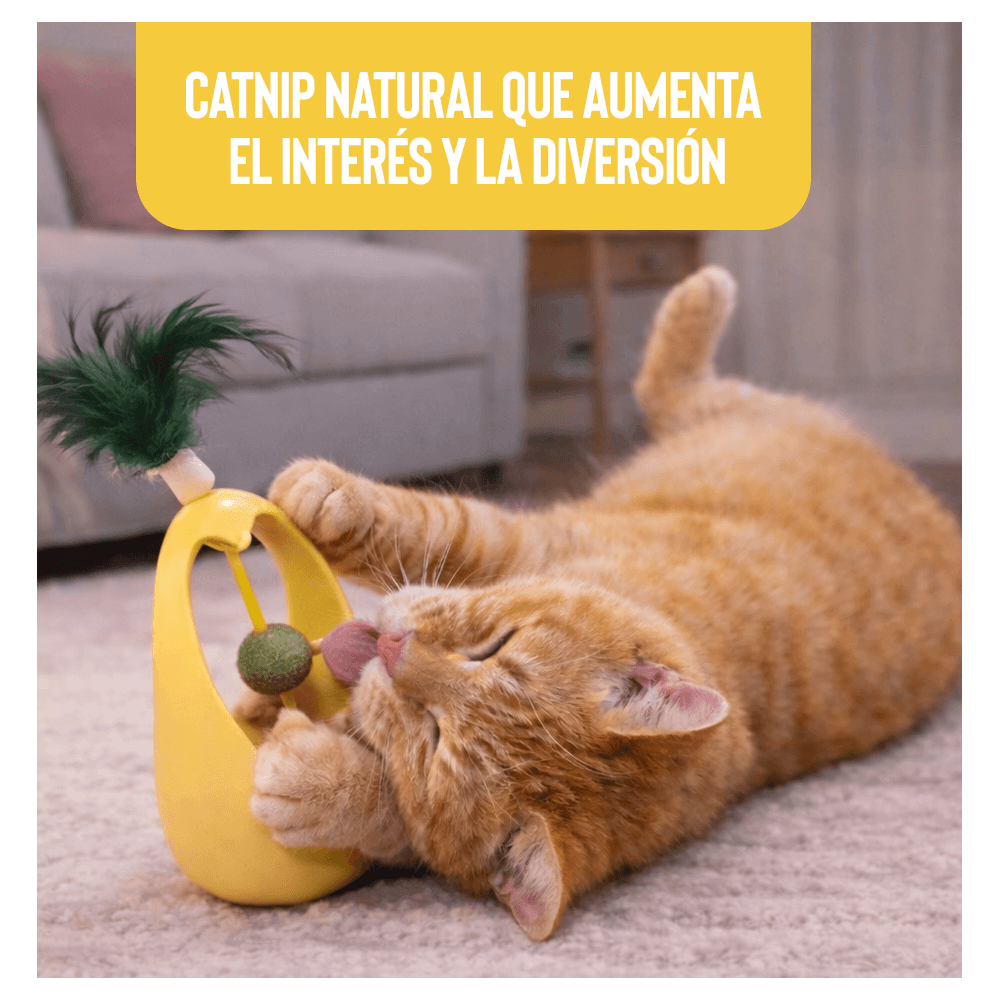 Juguete Interactivo con Catnip y Pluma