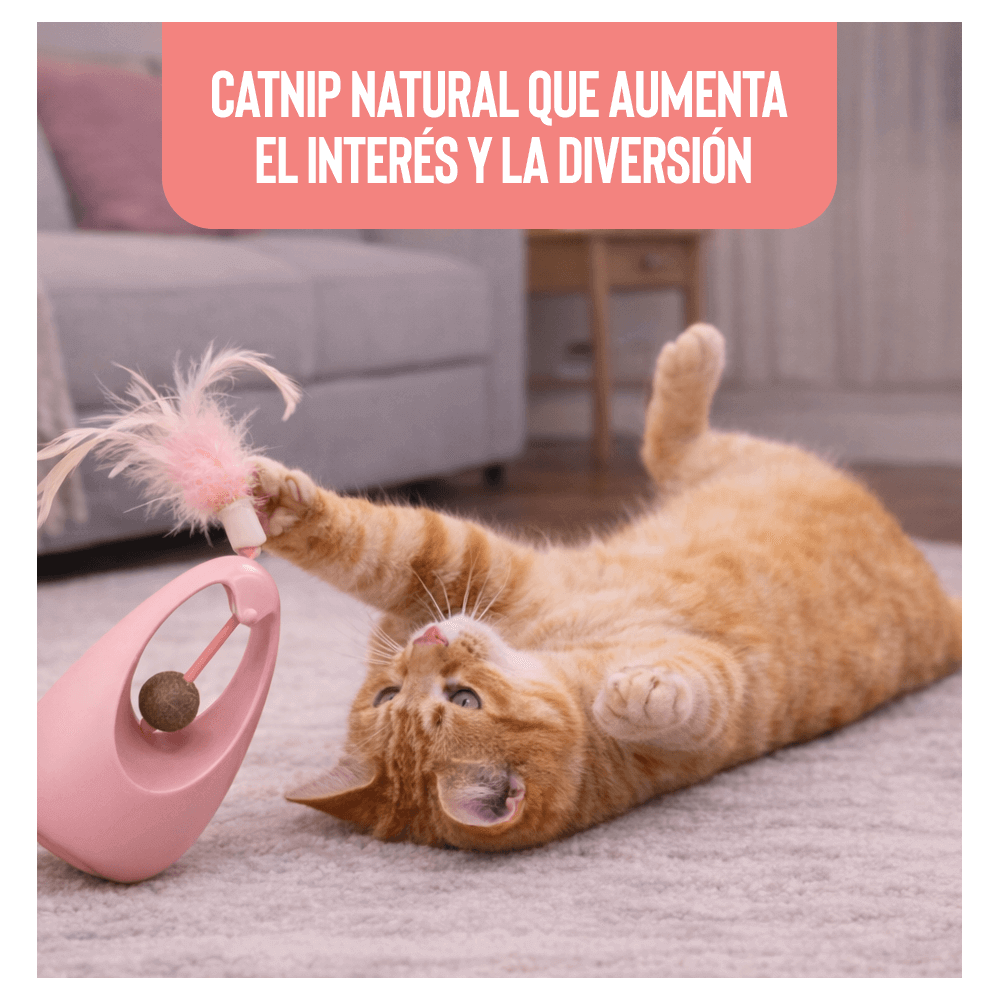 Juguete Interactivo con Catnip y Pluma