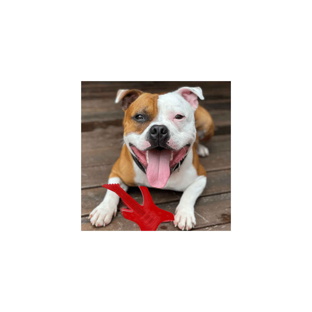 Soda Pup – Juguete de Nylon Guitarra Roja