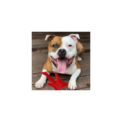 Soda Pup – Juguete de Nylon Guitarra Roja