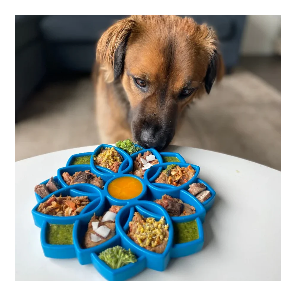 Soda Pup – Plato Mandala Comedero Lento 20 × 20 cm