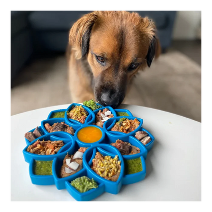 Soda Pup – Plato Mandala Comedero Lento 20 × 20 cm