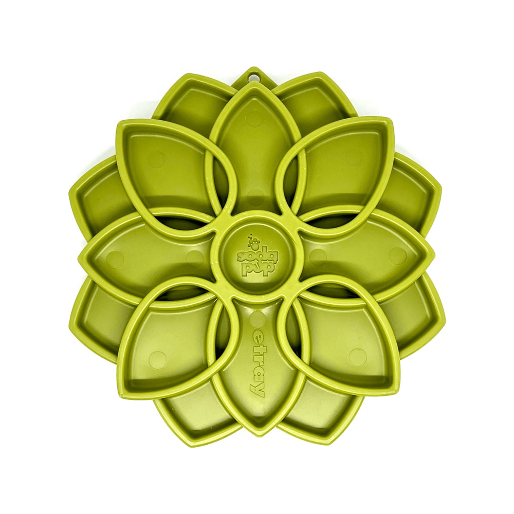 Soda Pup – Plato Mandala Comedero Lento 20 × 20 cm