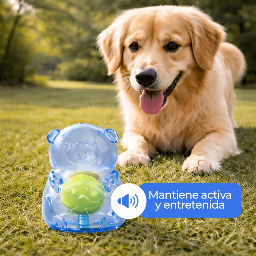 Oso Interactivo Transparente con Chillón