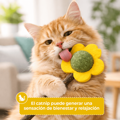 Flor con Catnip y Vara de Madera para Gato