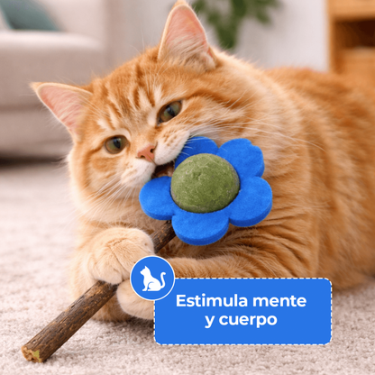 Flor con Catnip y Vara de Madera para Gato
