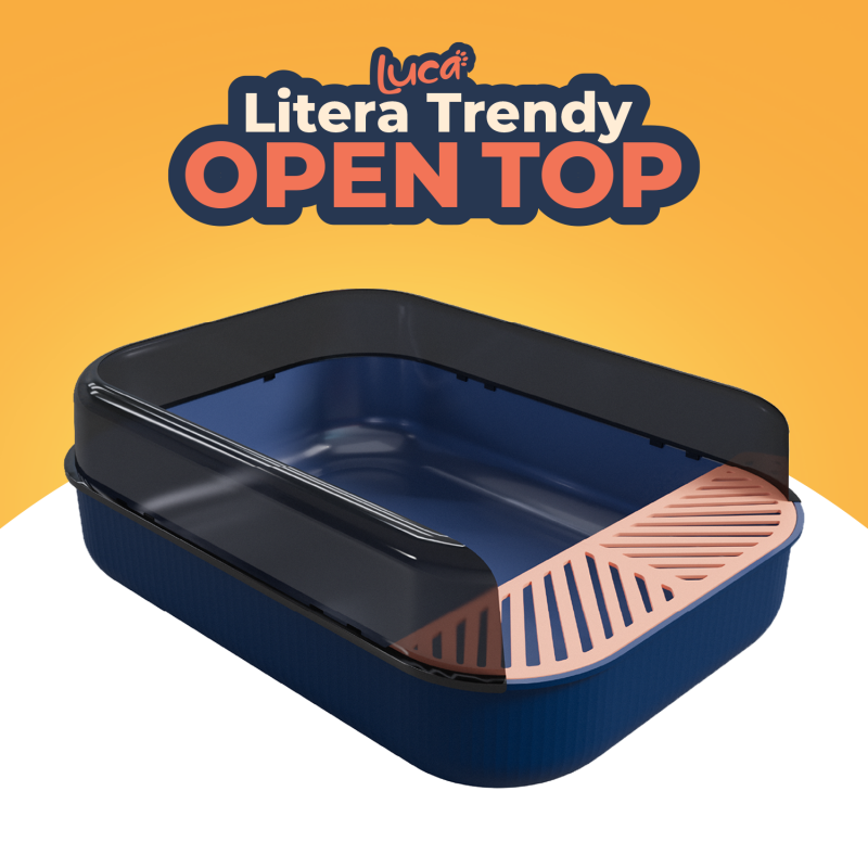 Luca – Litera Trendy Open Top con Filtro de Arena