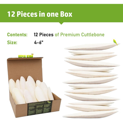 Hueso de Jibia Natural para Aves