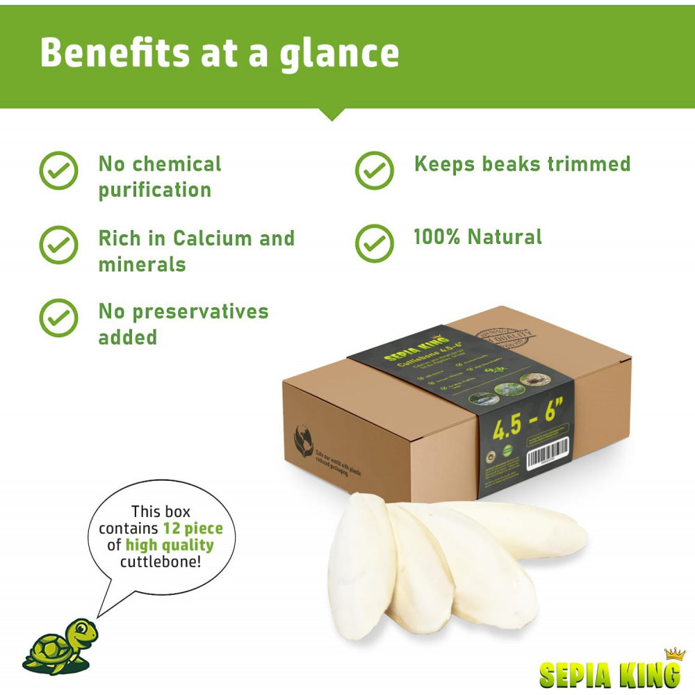 Hueso de Jibia Natural para Aves