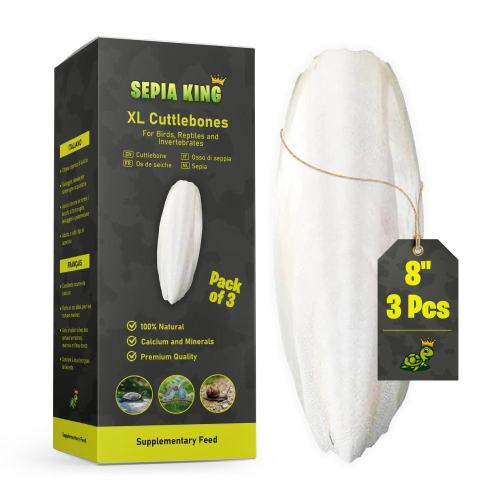 Hueso de Jibia Natural para Aves