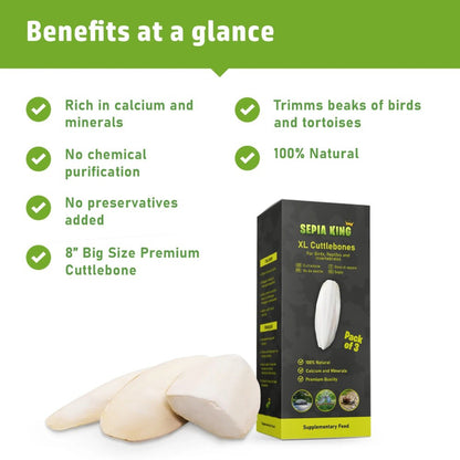 Hueso de Jibia Natural para Aves