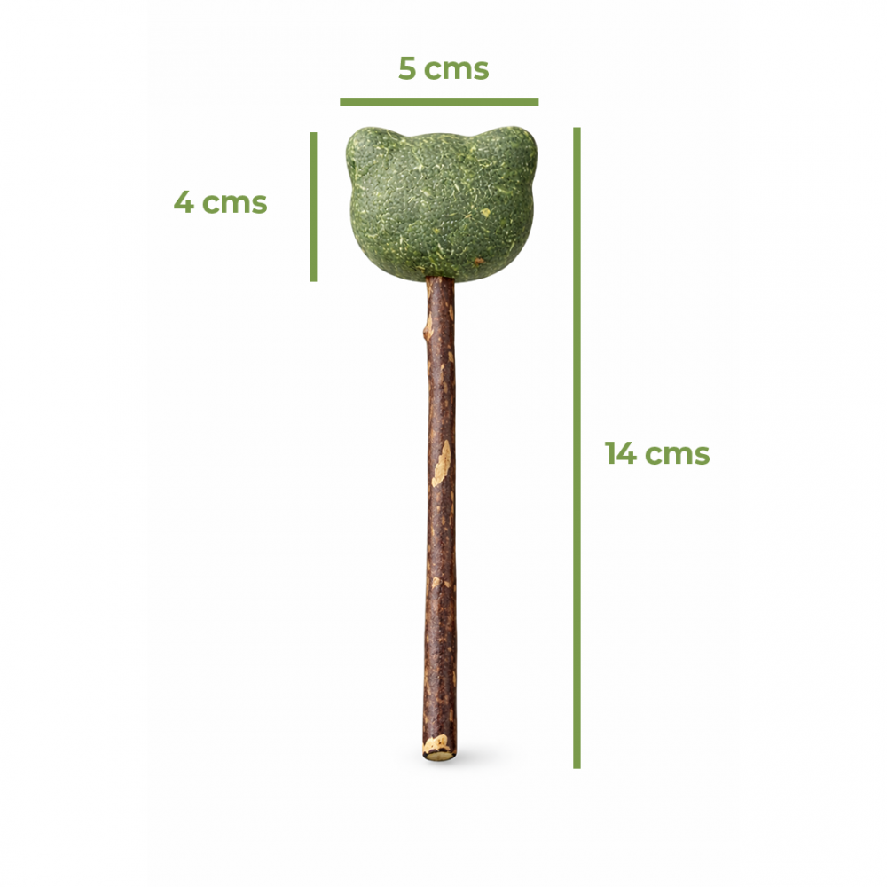 Paleta de Catnip Forma de Oso