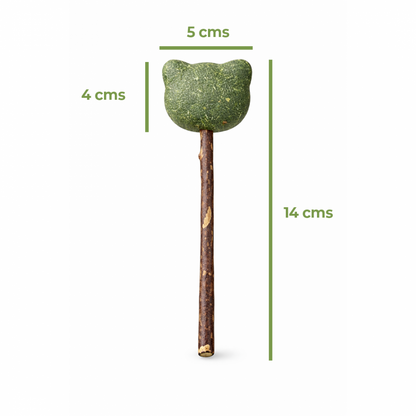 Paleta de Catnip Forma de Oso