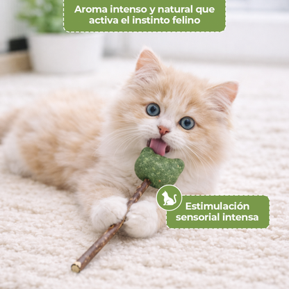 Paleta de Catnip Forma de Oso
