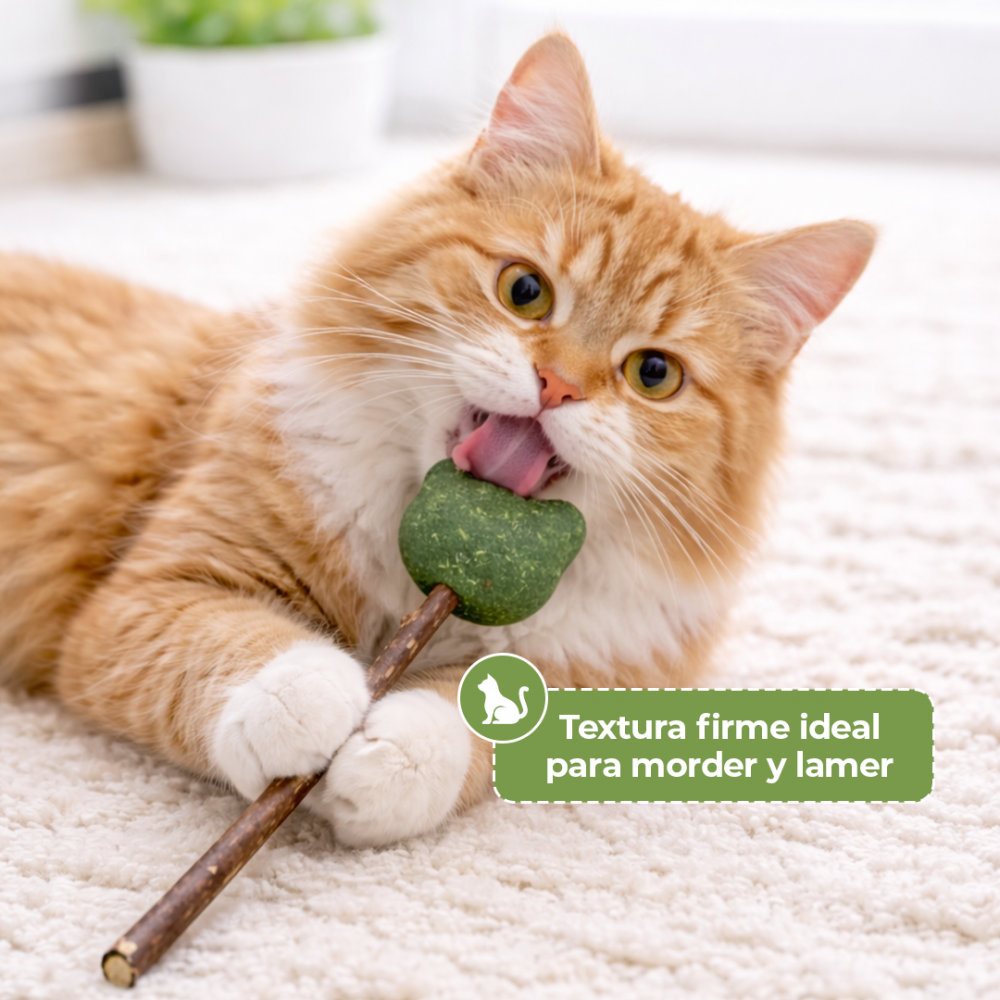 Paleta de Catnip Forma de Oso