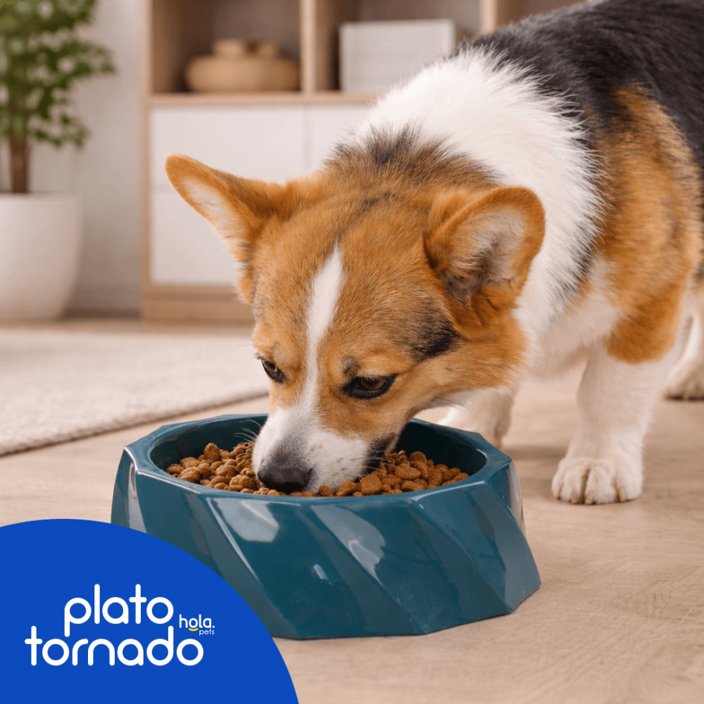 Hola Pets – Plato Tornado
