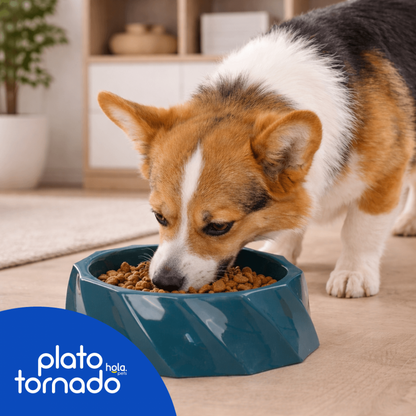 Hola Pets – Plato Tornado