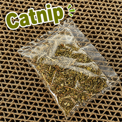 Rascador Curvo de Cartón con Catnip
